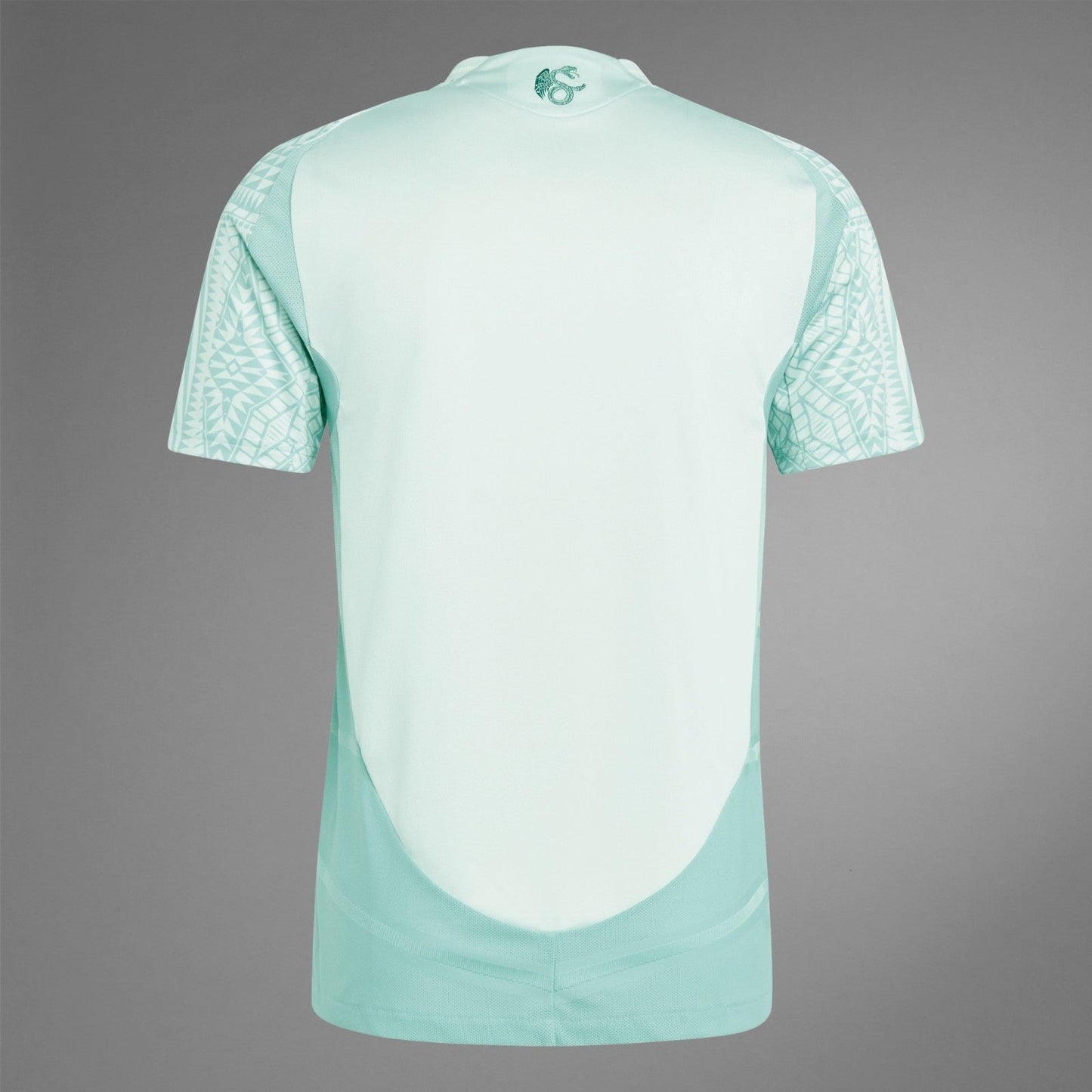 MAILLOT MEXIQUE EXTERIEUR 2024