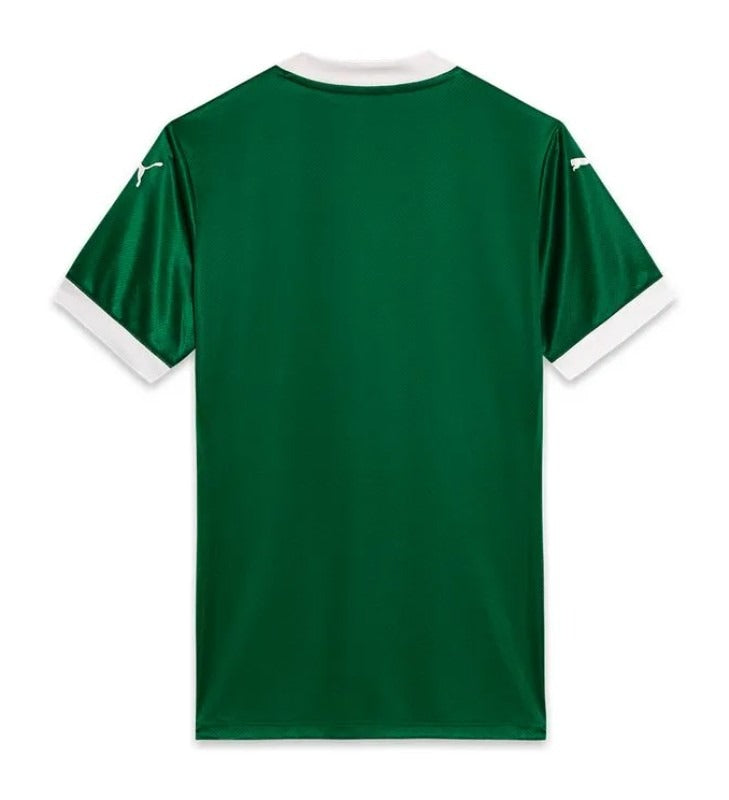 MAILLOT PALMEIRAS DOMICILE 2025