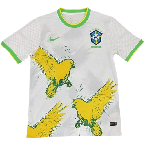 Maillot Brésil Concept 2024/2025