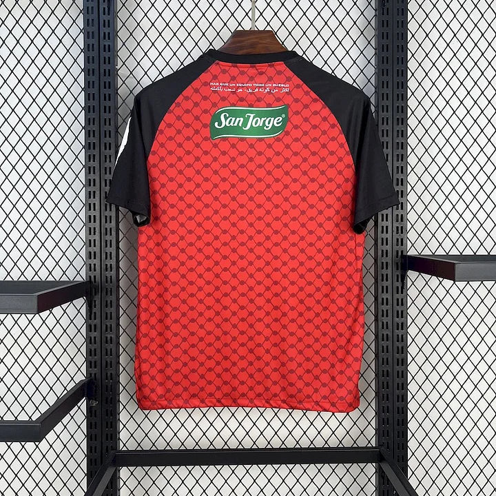 Maillot Palestine Concept 2025/2026