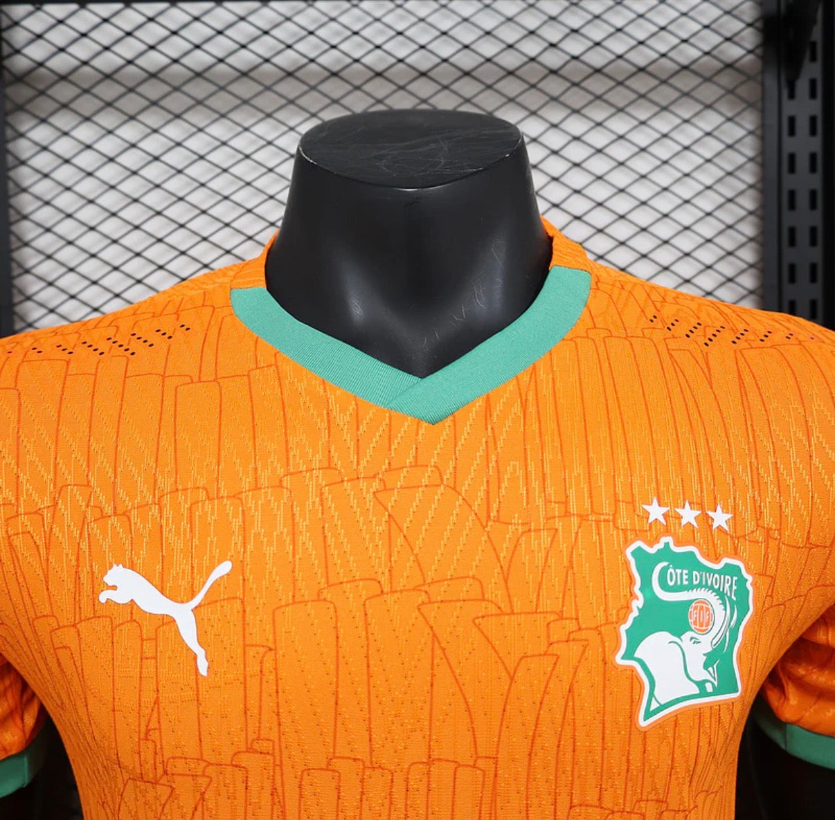 MAILLOT CÔTE D'IVOIRE DOMICILE 2025