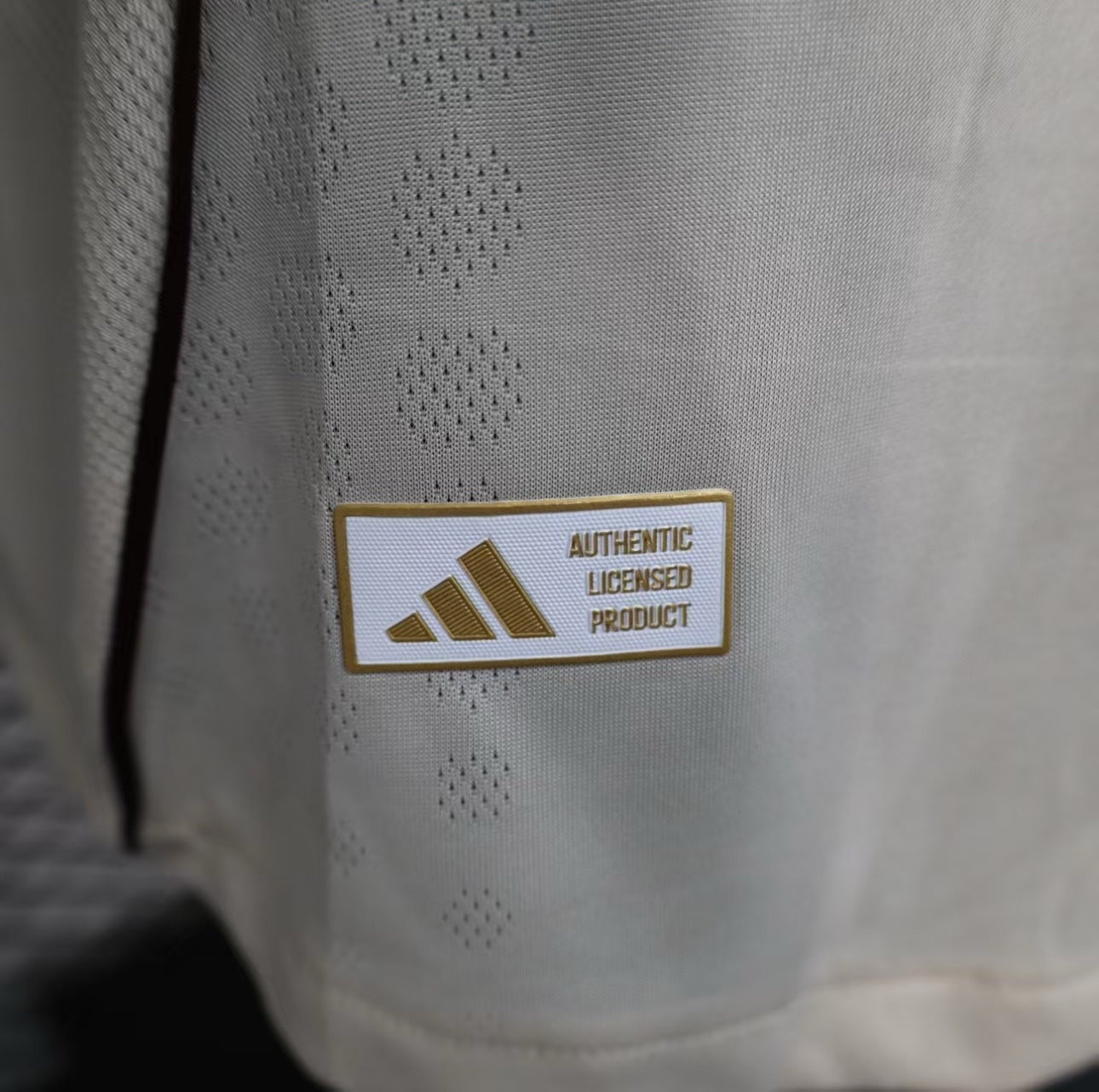 Maillot Player Ajax Amsterdam Third 2025/2026