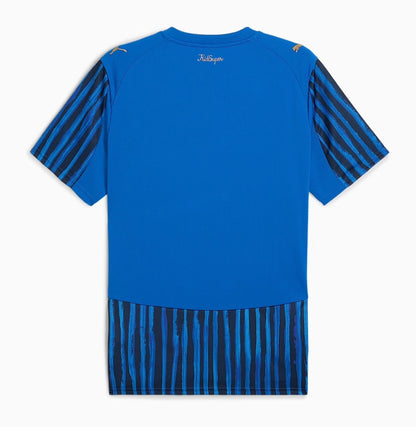 MAILLOT AL HILAL SFC CDM DOMICILE 2025