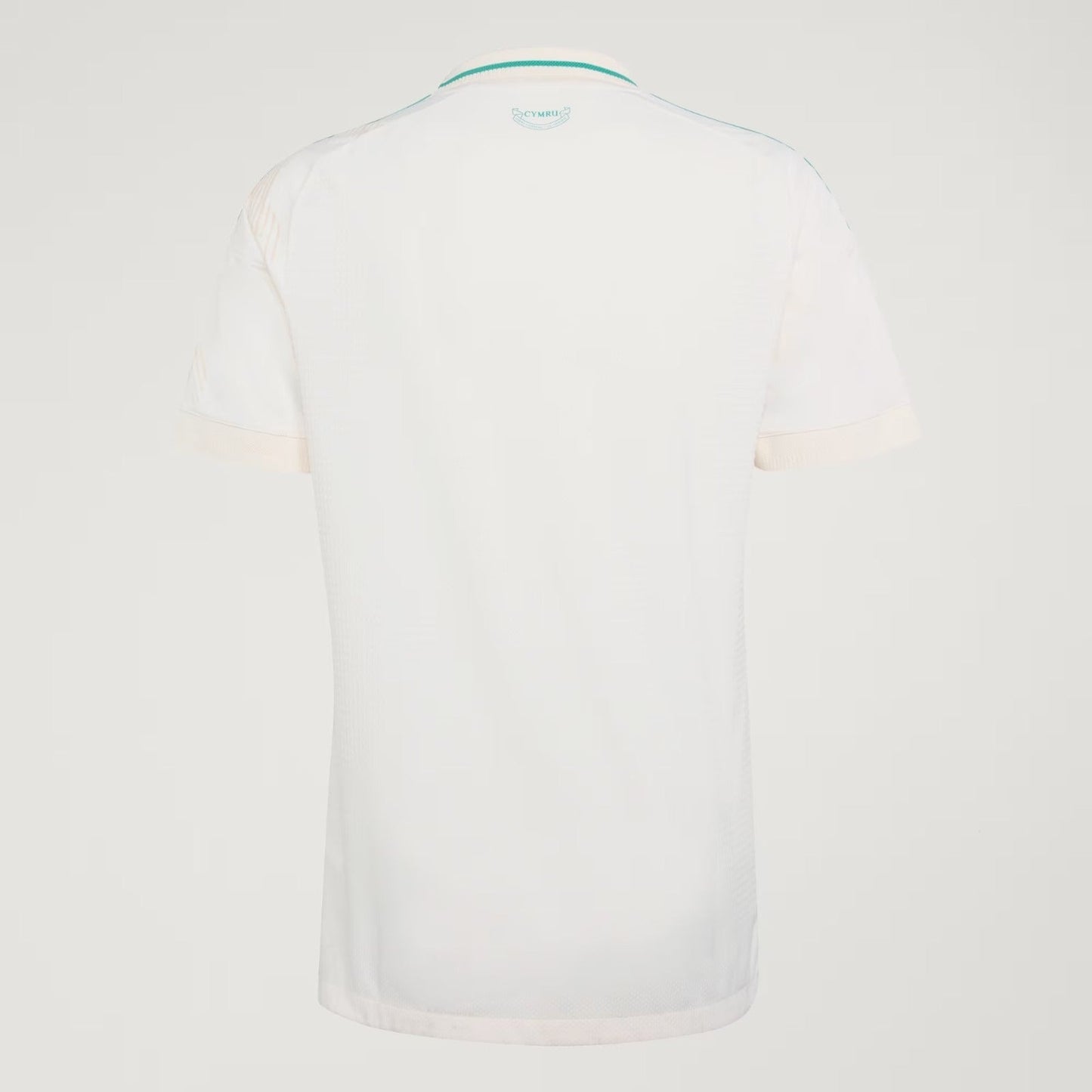 MAILLOT PAYS DE GALLES EXTERIEUR 2026