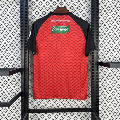 Maillot Palestine Concept 2025/2026