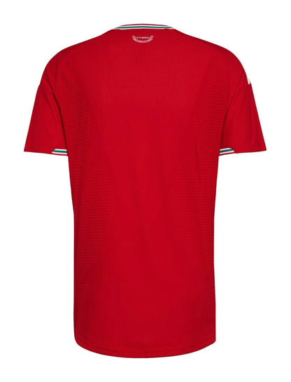 MAILLOT PAYS DE GALLES DOMICILE 2026